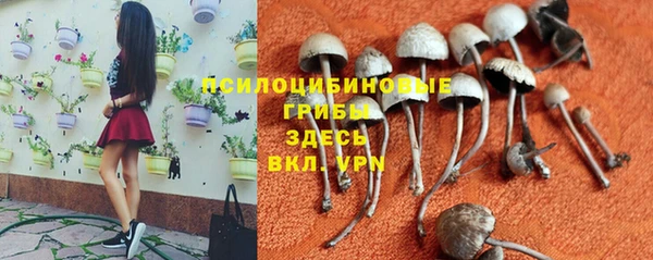 таблы Слюдянка