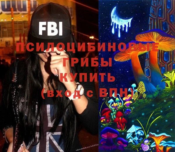 гидропоника Алзамай