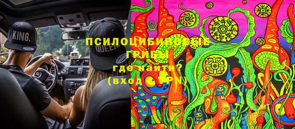 гидропоника Алзамай