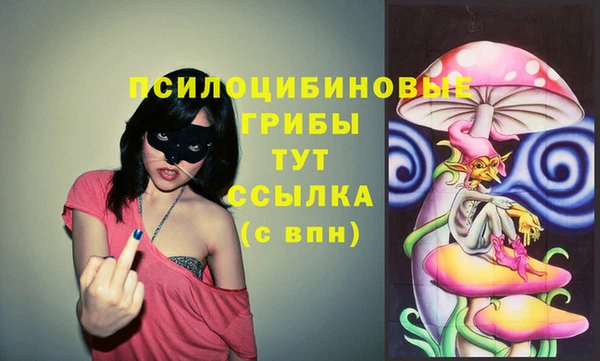 скорость Алексин