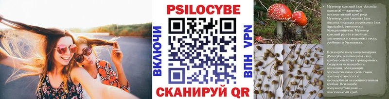 Галлюциногенные грибы Cubensis  Чайковский 